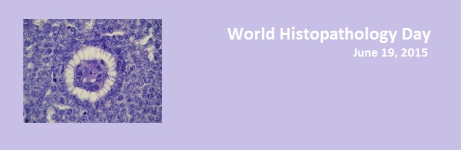 World Histopathology Day 2015